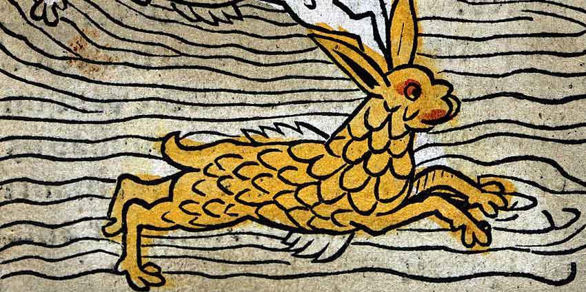 1491 год. Морской заяц Плиния и Авиценны.