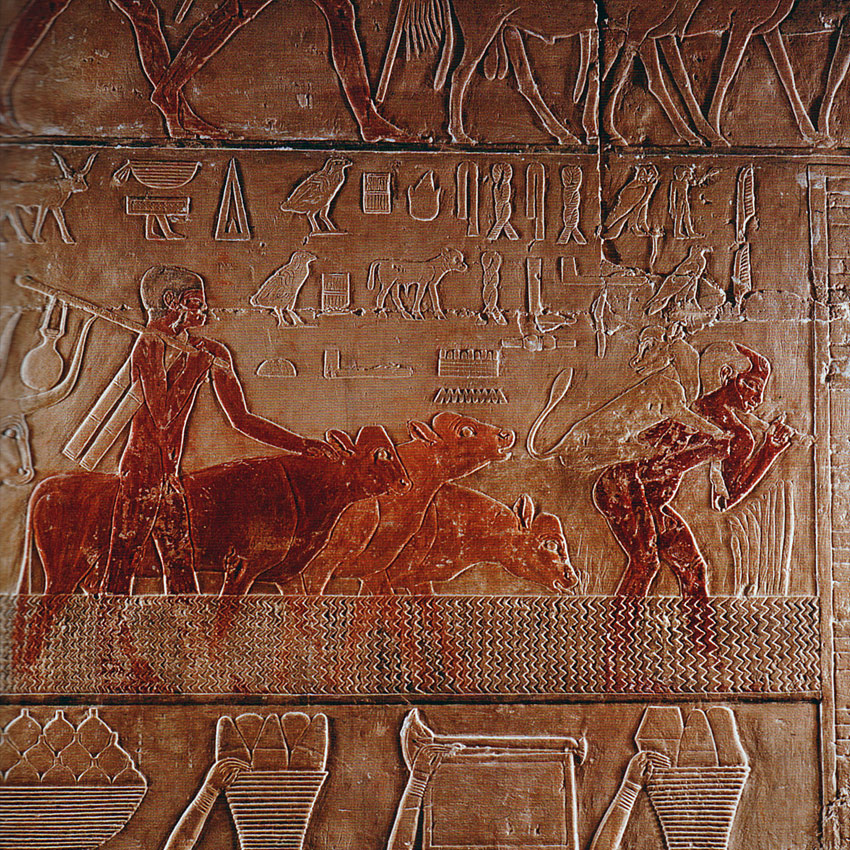Около 2400 г. до р.Х. Возвращение стада. Рельеф, расписанный известняк.Саккара, гробница вельможи Ти. Египет. 