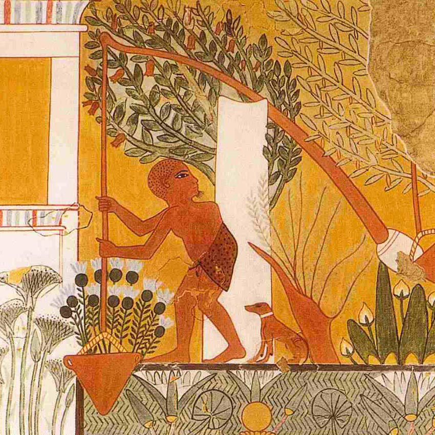 1279-1213 гг. до р.Х. Полив дерева. Роспись в египетской гробнице.