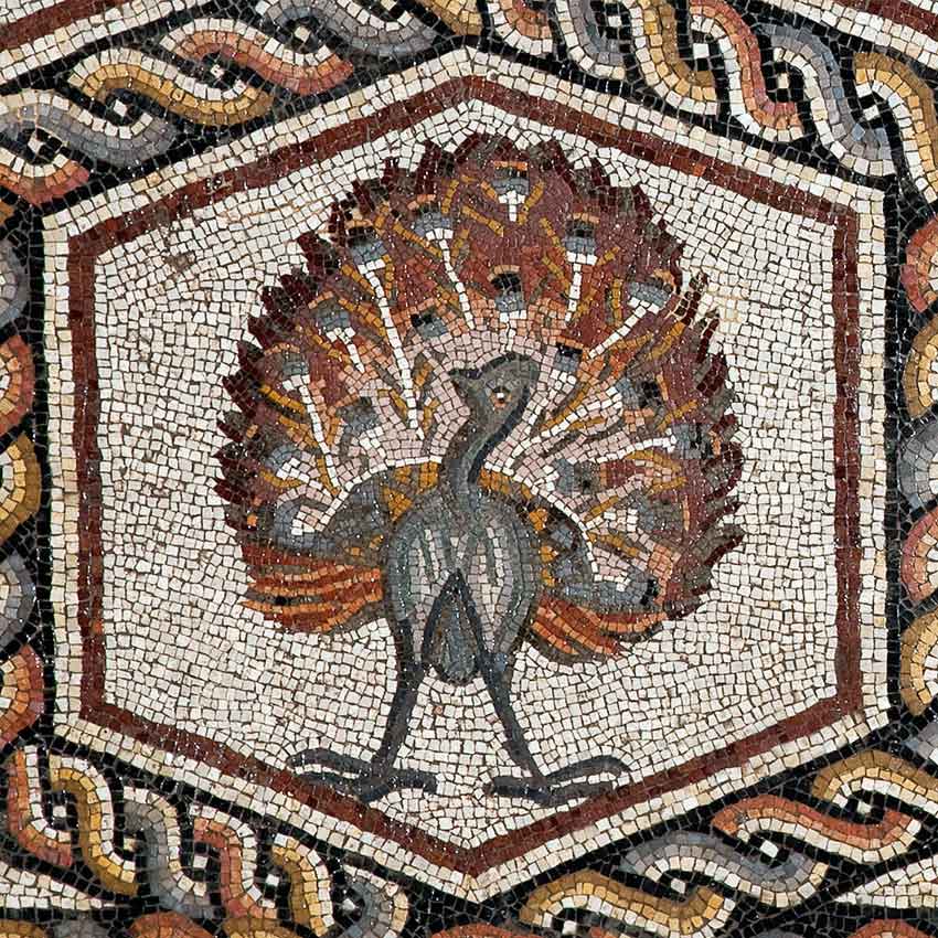 Конец III - начало IV века. Павлин. Мозаика из города Лод, Израиль, найдена в 1996 году. 
